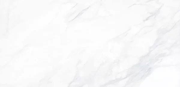 payer-elegant_1200x600